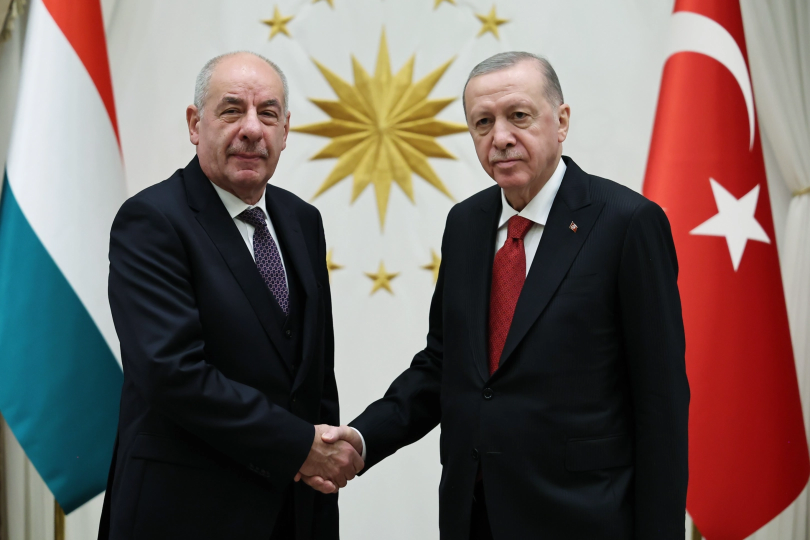 Cumhurbaşkanı Erdoğan, Macaristan Cumhurbaşkanı Sulyok ile görüştü haberinin görseli