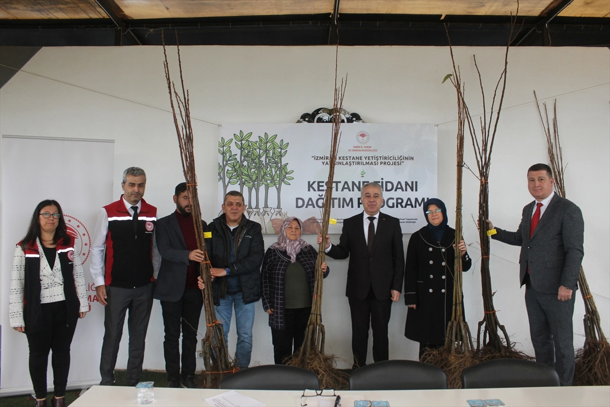 İzmir'de üreticilere kestane fidanı haberinin görseli