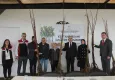 İzmir'de üreticilere kestane fidanı