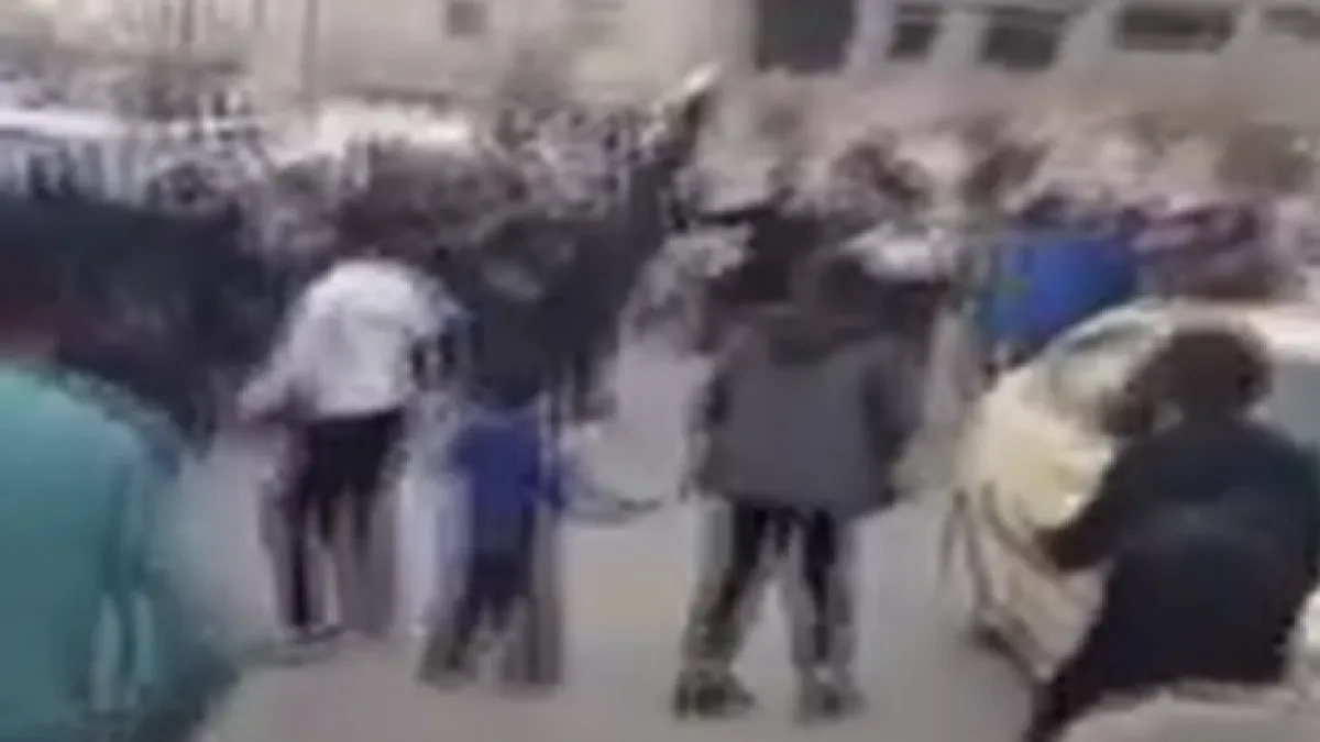 Rakka’da terör örgütü PKK sivillere ateş açtı! haberinin görseli