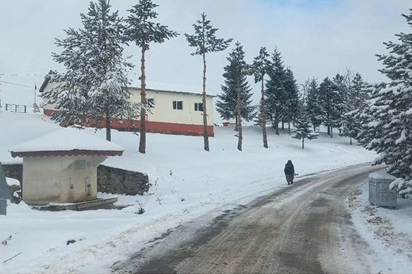 Karadeniz'de kar yağışı etkili oldu