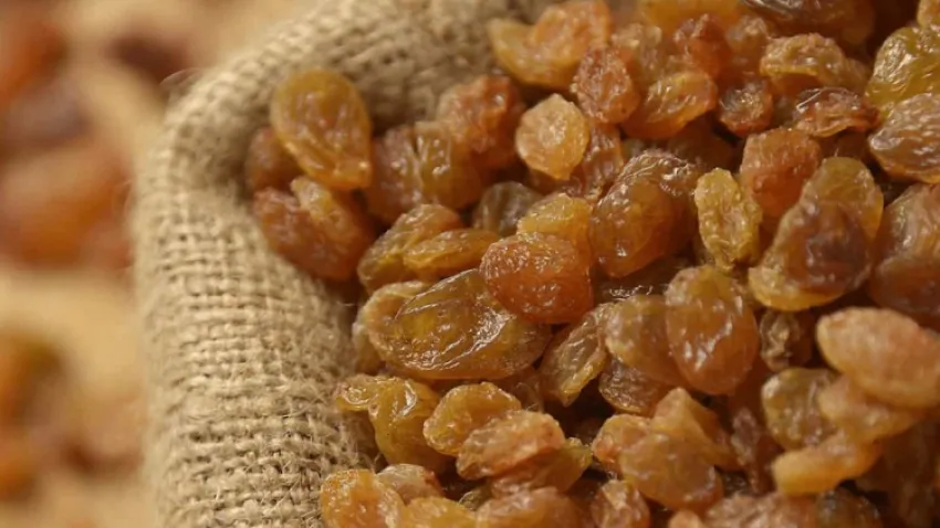 Kuru üzümde fiyatlar rekabeti tehdit ediyor