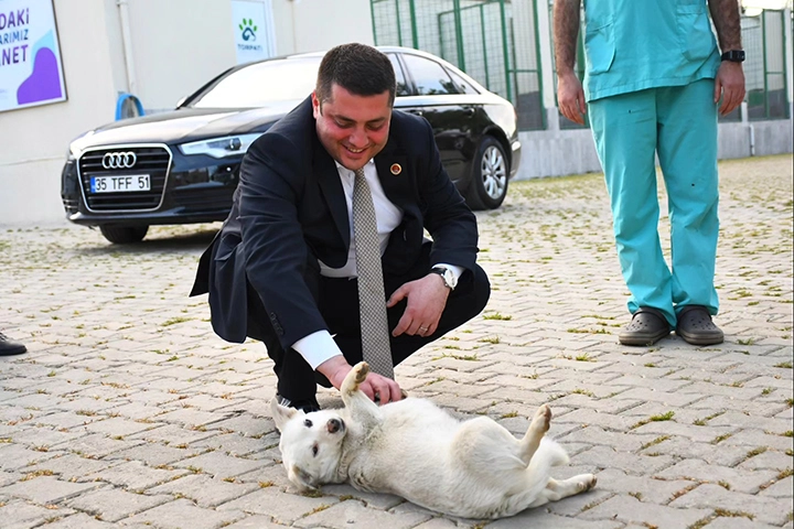 Torbalı’da 2024 yılında binlerce hayvan tedavi oldu