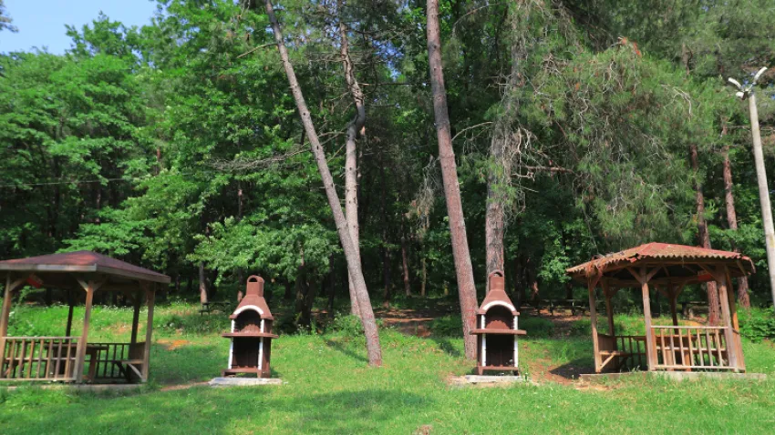 Sakarya İl Ormanı Tabiat Parkı
