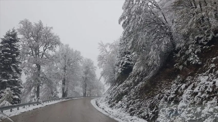 Yedigöller Milli Parkı - Bolu