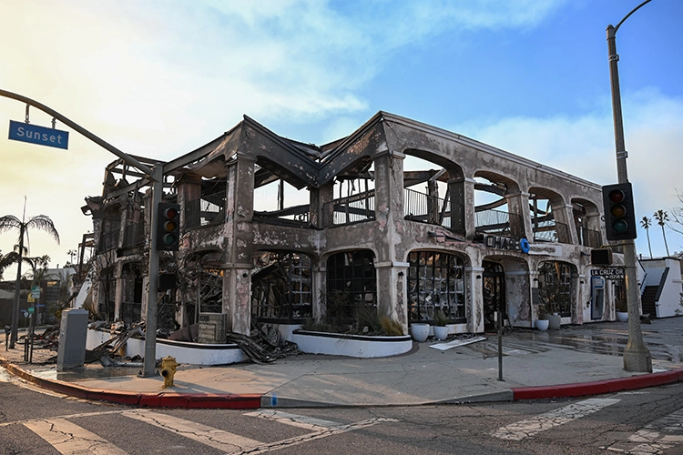 Los Angeles'taki orman yangınları 5. gününde: Yerleşim alanlarını tehdit ediyor