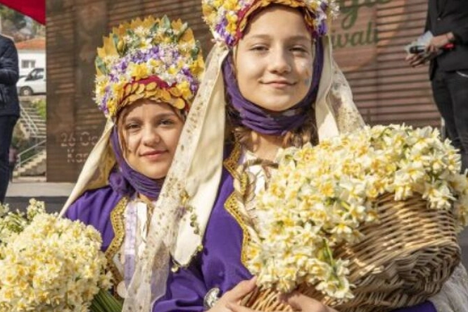 İzmir’de 7’nci Karaburun Nergis Festivali başlıyor