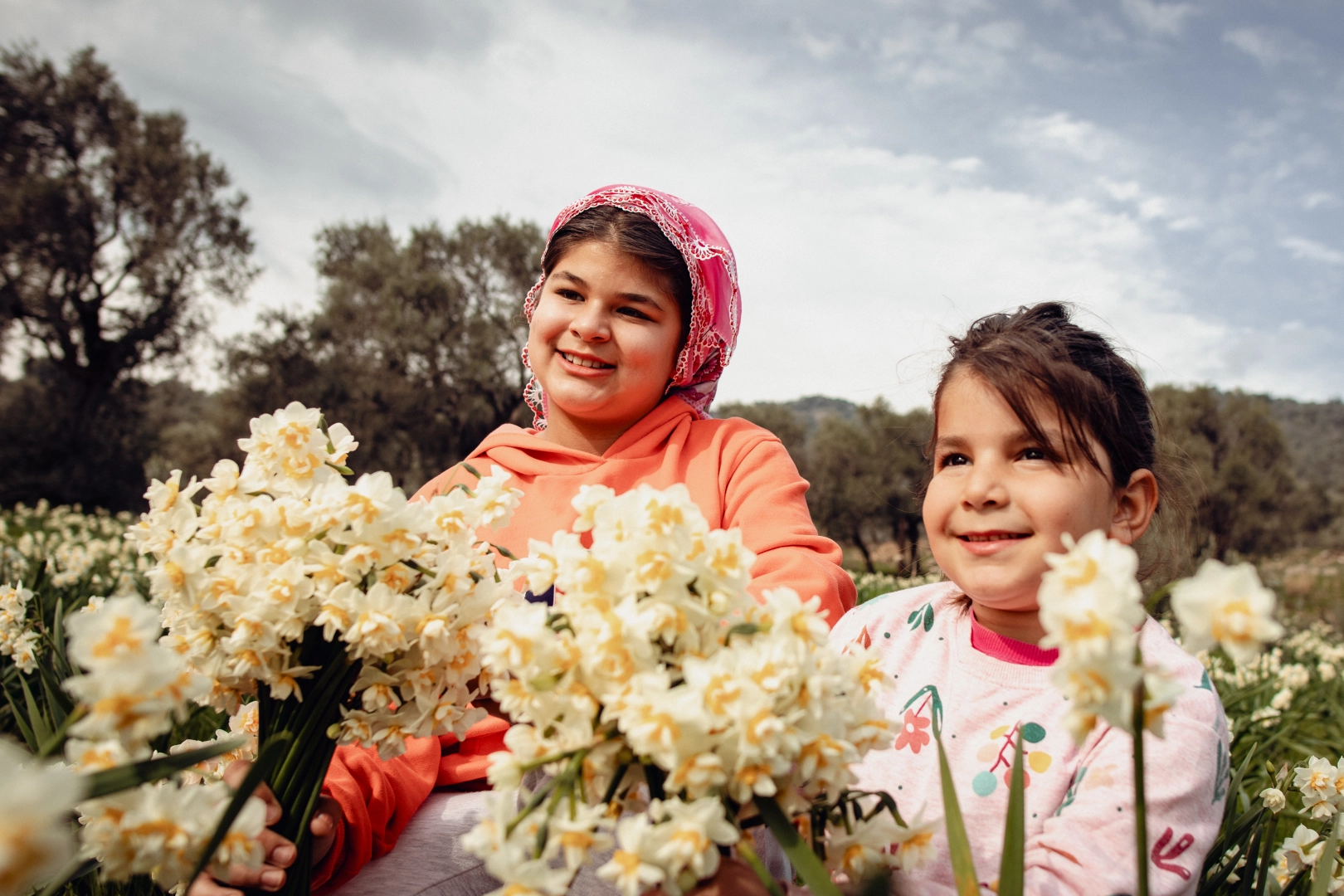 Bayındır’da çiçek kokulu festivale geri sayım: Nergis ve Kuru Çiçek Festivali başlıyor