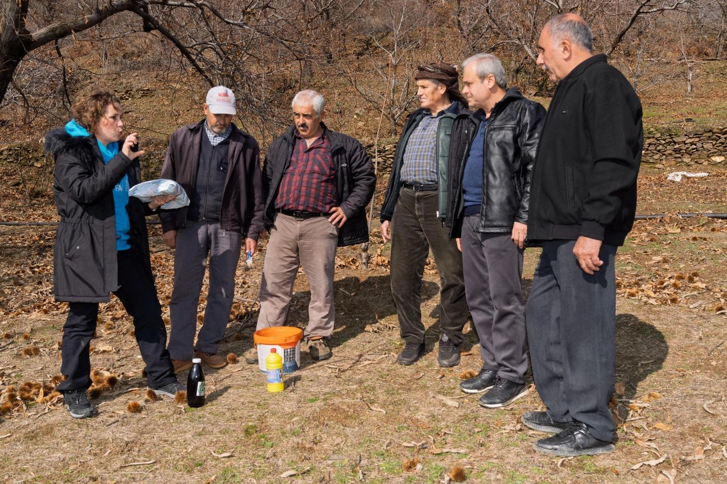 Küçük Menderes'e büyük destek: Kestane kanseri ile mücadele haberinin görseli