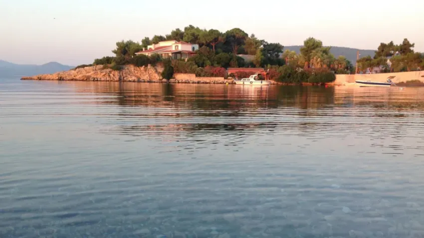 balıklıova un kurabiyesi