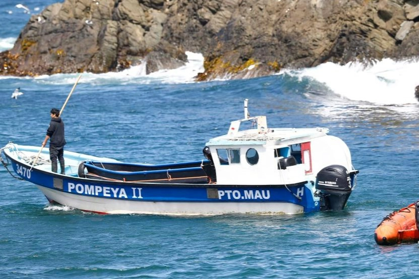 Turist teknesi battı: Çok sayıda ölü var!