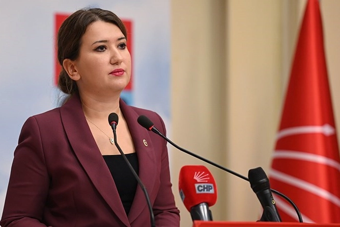 Avrupa Konseyi Parlamenter Meclisi’nde Gökçen, göçmen politikasını eleştirdi