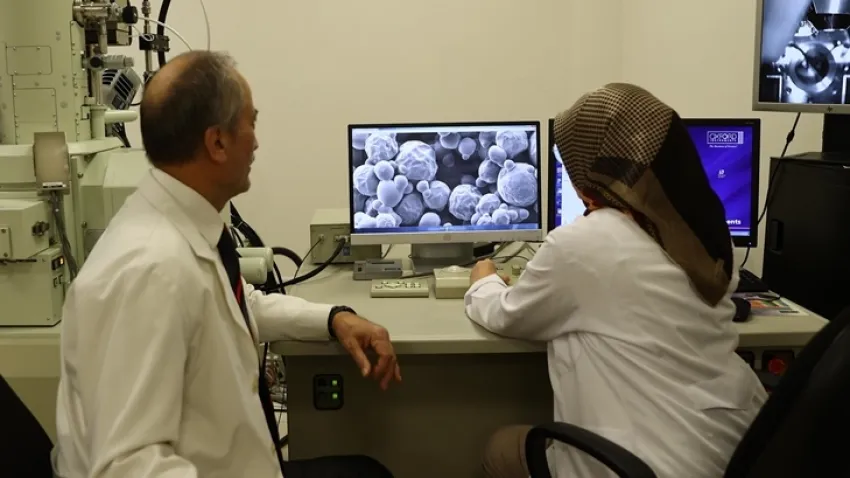 OMÜ’den nanoplastiklerin tavuk eti ve yumurtalarla vücuda girmesi üzerine araştırma haberinin görseli