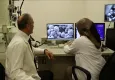 OMÜ’den nanoplastiklerin tavuk eti ve yumurtalarla vücuda girmesi üzerine araştırma