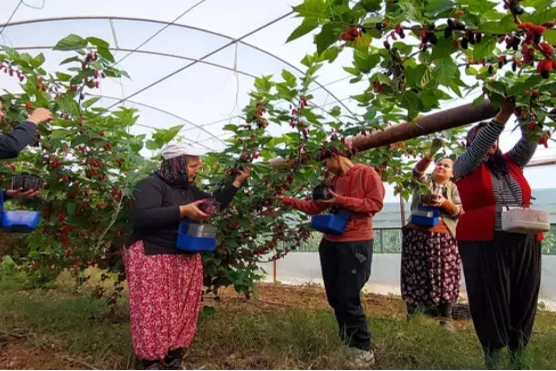 Türkiye'de üretiliyor, Dubai'de yok satıyor!