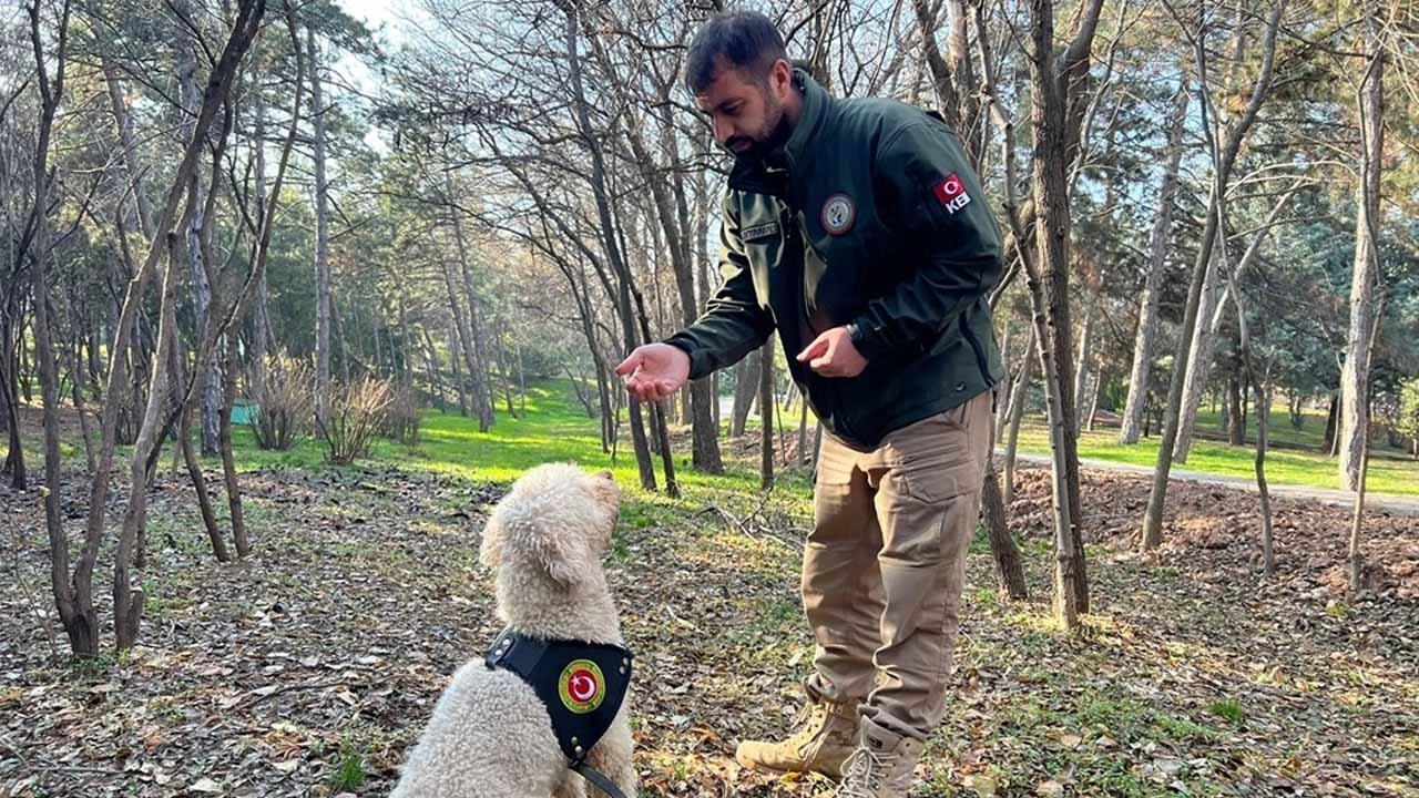 Narkotik köpeklerinden büyük destek: 2025'te 67 narkotik operasyon gerçekleşti