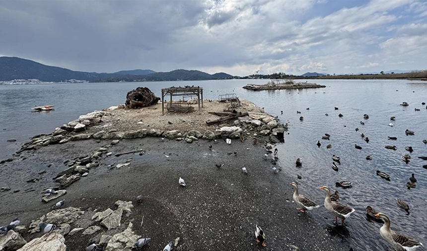 Muğla’da endişelendiren görüntü: Deniz suyu 5 metre çekildi, adacıklar oluştu