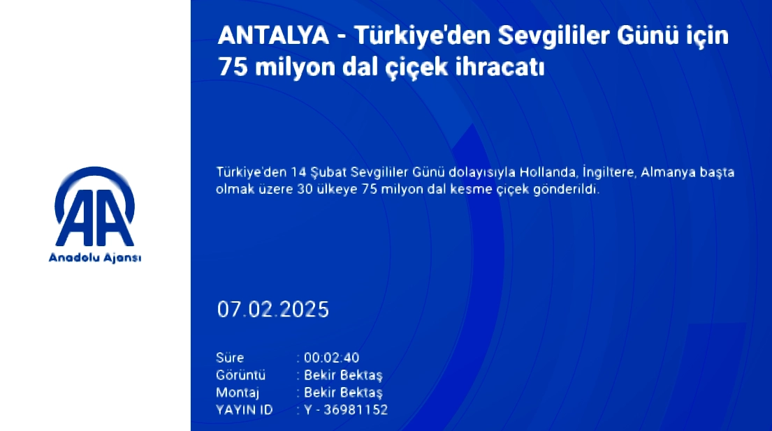 Türkiye’den 30 ülkeye Sevgililer Günü için 75 milyon dal çiçek gönderildi