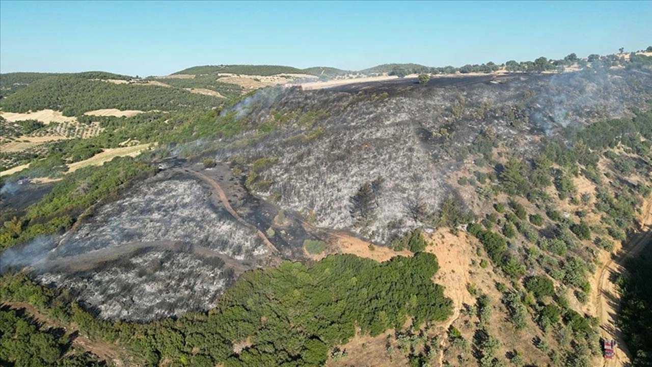 Manisa Kula'da makilik alanda yangın!