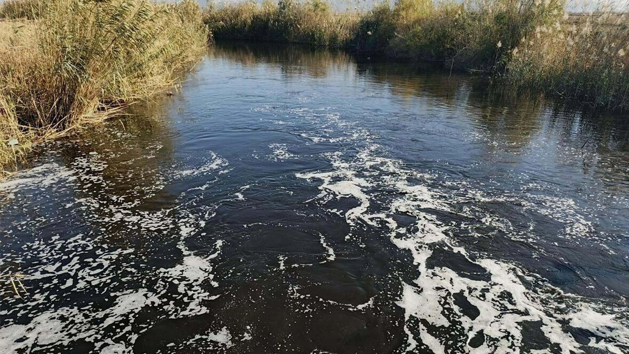 Büyük Menderes’te büyük utanç