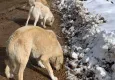 HAYTAP’la mama GETİR