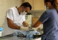 Karşıyaka’da toplu kısırlaştırma: 4 mahallede 91 kedi kısırlaştırıldı