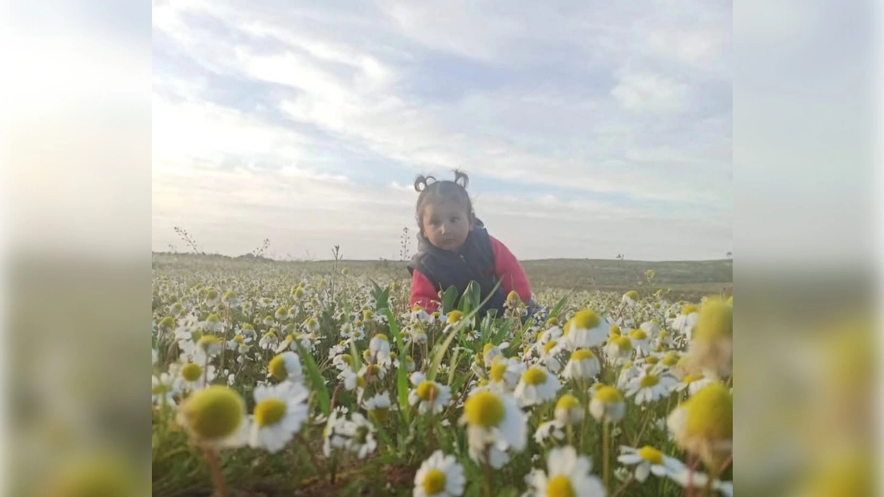 2 yaşındaki Zeynep’i hayattan koparan kaza