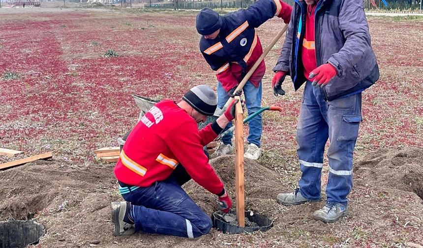 Menderes’te kum zambakları koruma altında