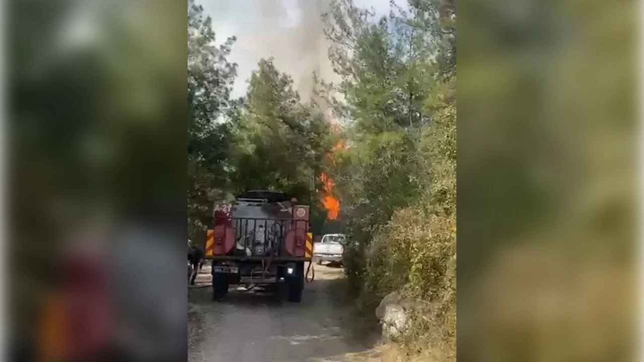 Kahramanmaraş’ta orman yangını 