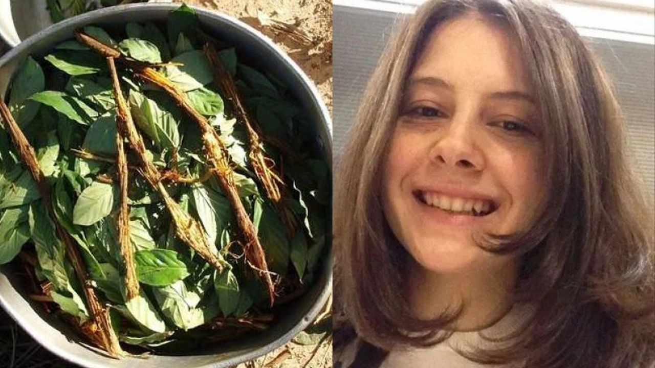 Şamanik iksiri Ayahuasca nedir? Belgrad Ormanı’nda kaybolan Ece Gürel ile gündeme geldi