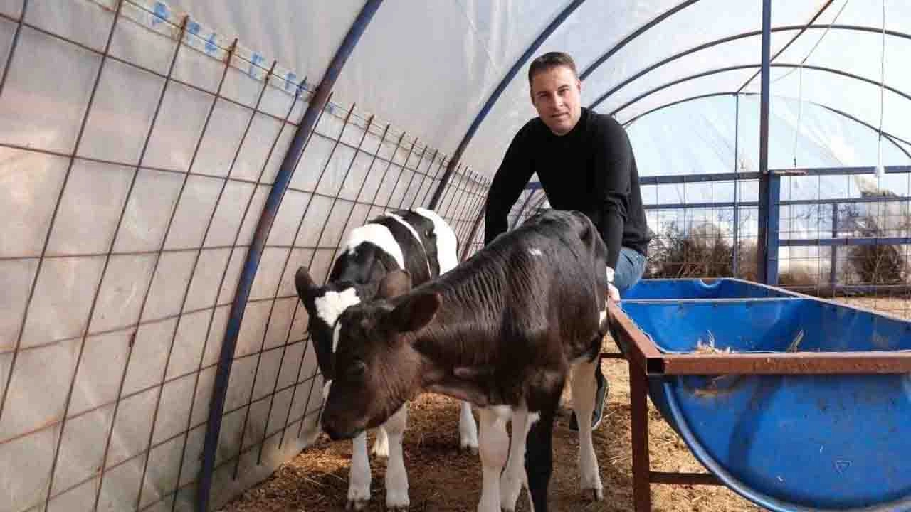 Damızlık Sığır Yetiştiricileri Birliğinin yeni başkanı belli oldu