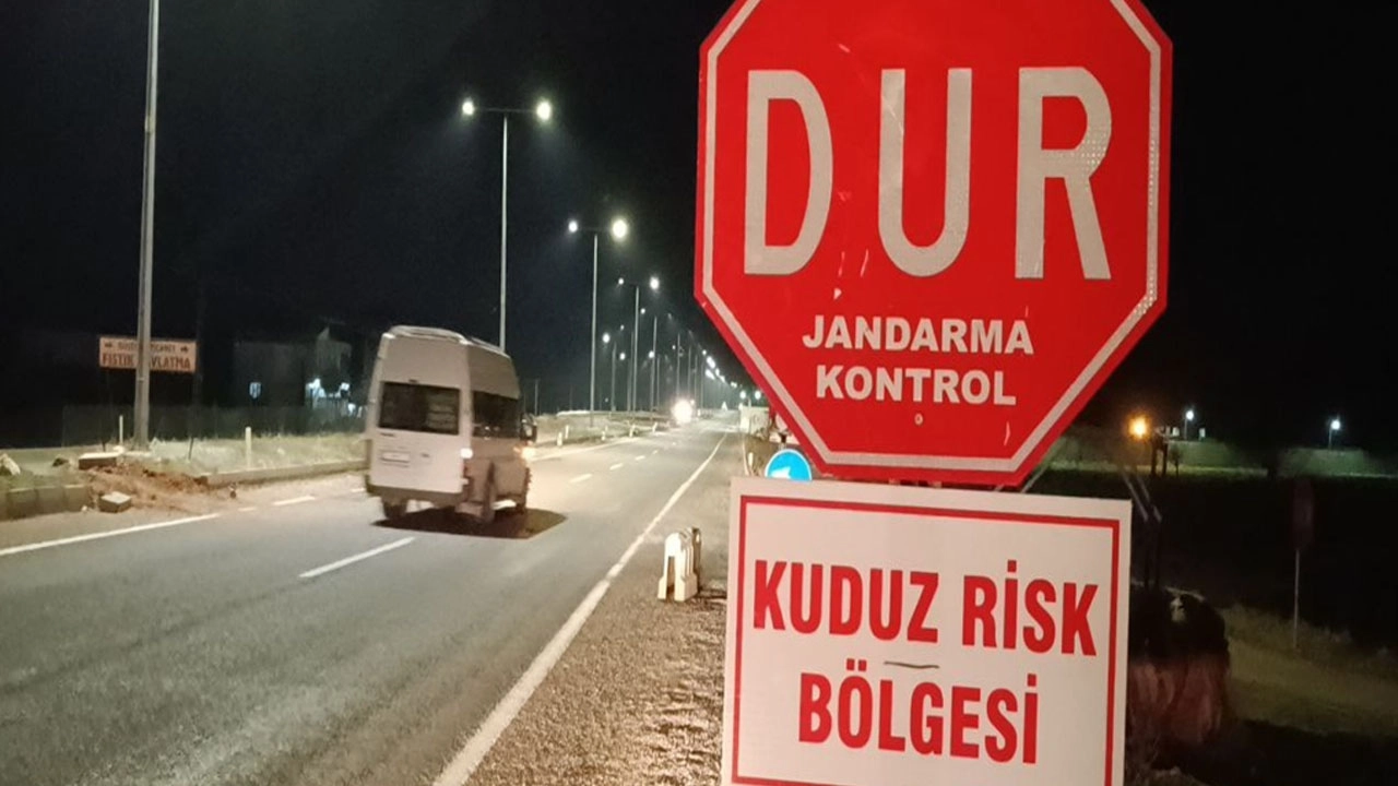 Kuduz köpek nedeniyle kasaba karantinaya alındı!