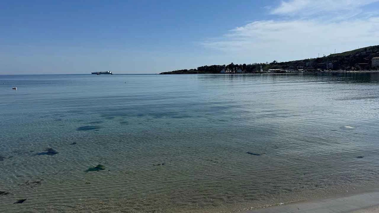 Marmara Denizi müsilajın etkisinde