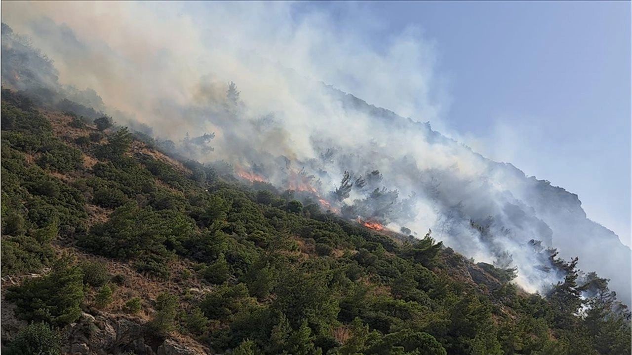 Aydın'da orman yangını!