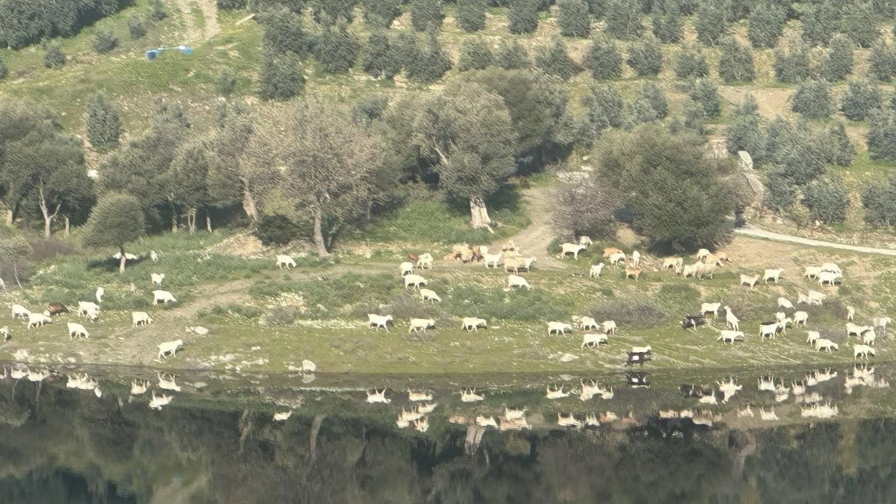 Soyer, çok sevinçli bir haberim var diyerek duyurdu