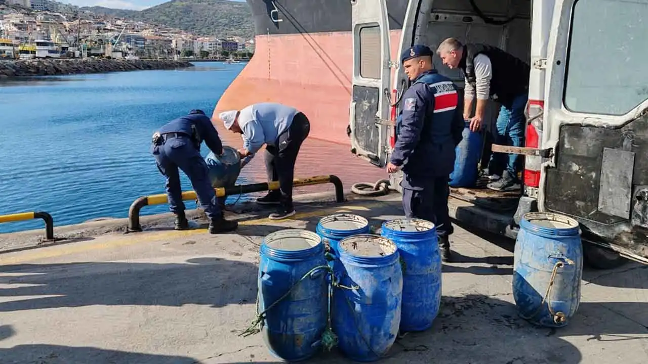 İzmir haber: İzmir'de kaçak avlanan deniz patlıcanları denize geri salındı