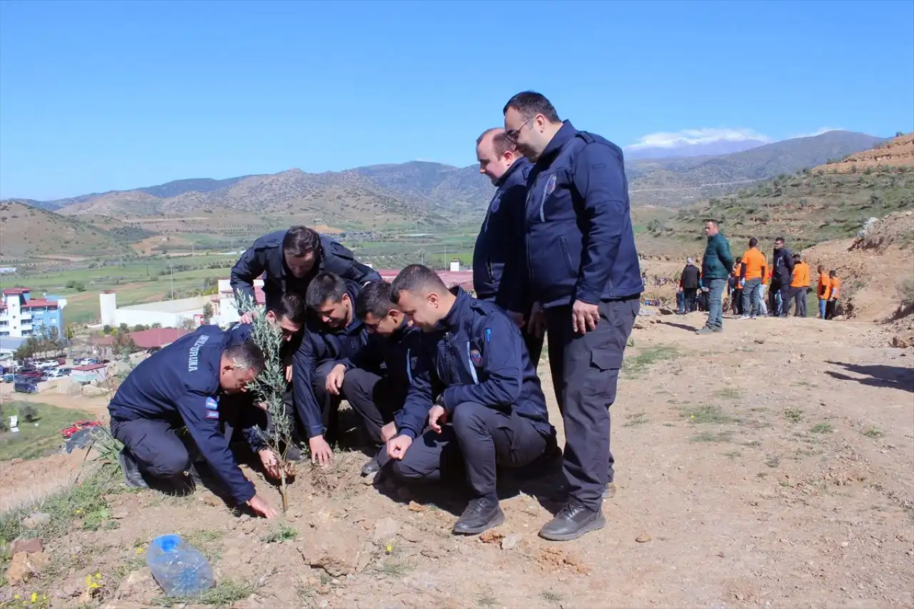 İzmir’de 4 bin zeytin fidanı dikildi