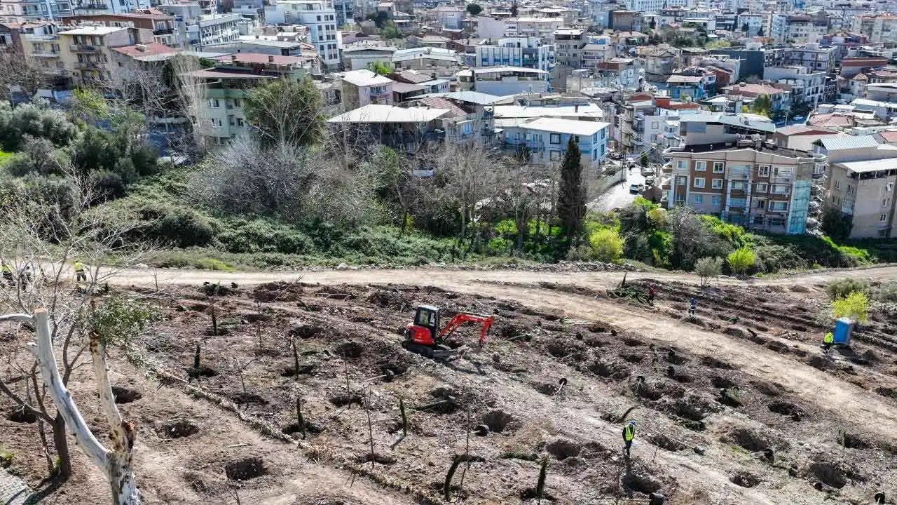 Büyükşehir'den Bornova'ya yeni orman