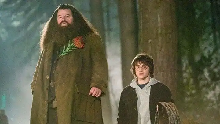 Harry Potter dizisinde Hagrid rolünü kim canlandıracak? O isimle anlaşmalar sürüyor