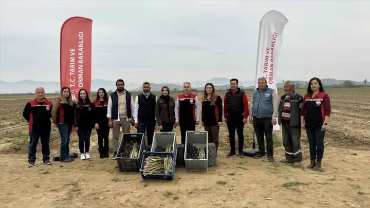 Hasadına başladığı ürünleri yurt dışına da ihraç etmeyi hedefliyor