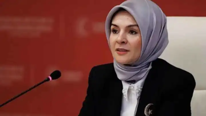 Bakan Göktaş açıkladı: Doğum yardımını içeren kanun teklifi yasalaştı haberinin görseli