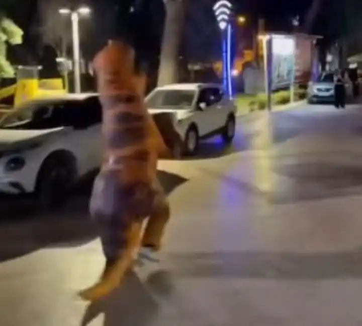 İzmir haber: Bornova’da dinozor görüldü