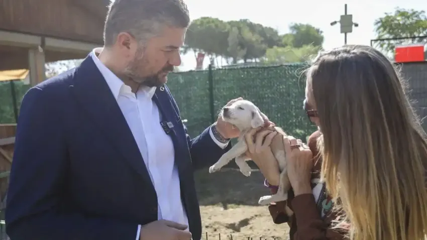 Buca Belediyesi son 1 yılda 23 bin sokak hayvanına umut oldu