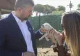 Buca Belediyesi son 1 yılda 23 bin sokak hayvanına umut oldu