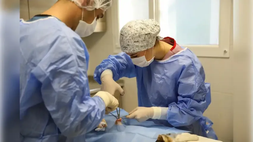 Buca’da sokak hayvanlarına özel bakım