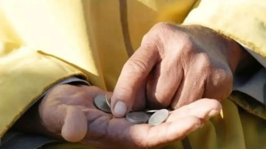 Gıda Mühendisleri Odası İzmir Şubesi: Gıda zehirlenmeleri politiktir haberinin görseli