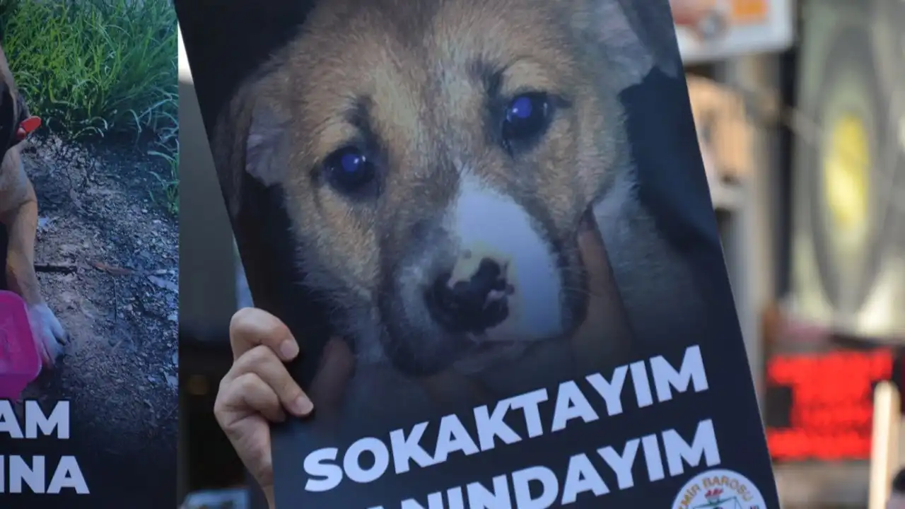 İzmir Barosu’ndan 4 Nisan açıklaması: Yaşam hakları hukukun güvencesidir  haberinin görseli