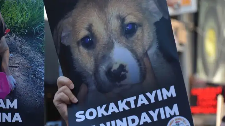 İzmir Barosu’ndan 4 Nisan açıklaması: Yaşam hakları hukukun güvencesidir  haberinin görseli