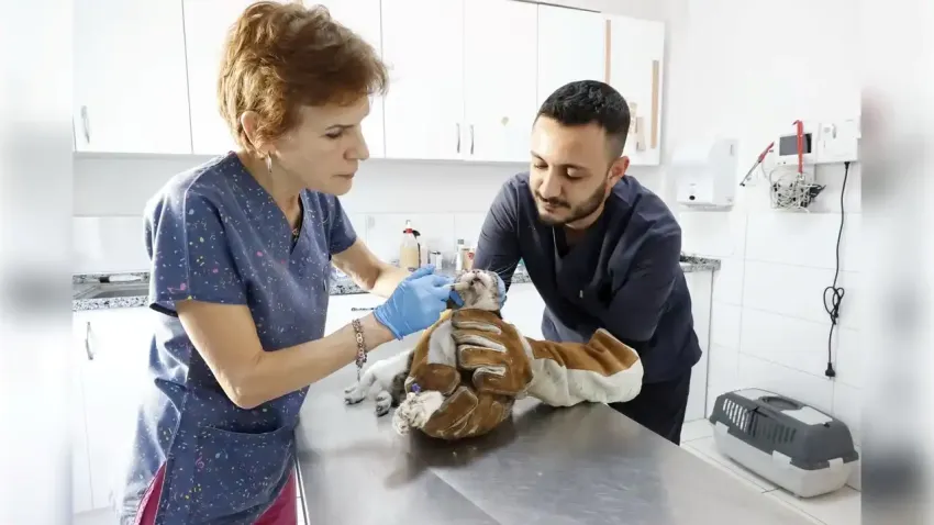 Konak’ta sevimli dostlar için büyük adım