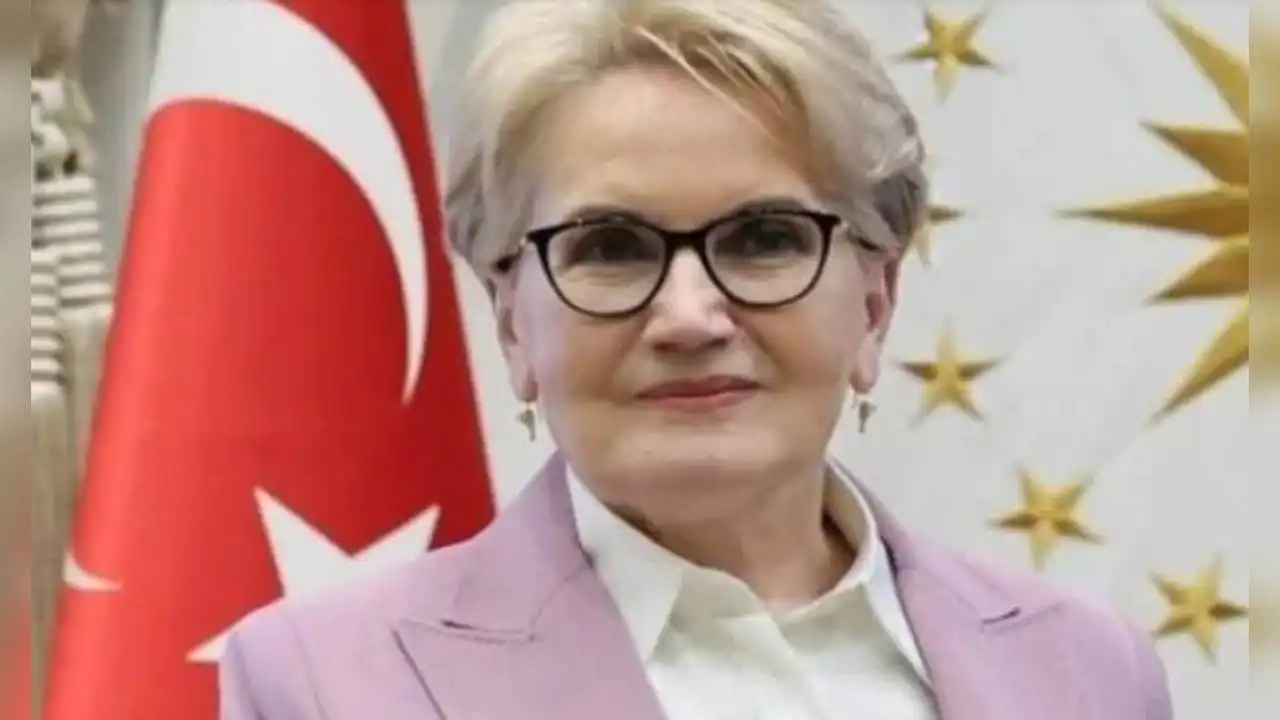Meral Akşener'den Türkeş paylaşımı haberinin görseli